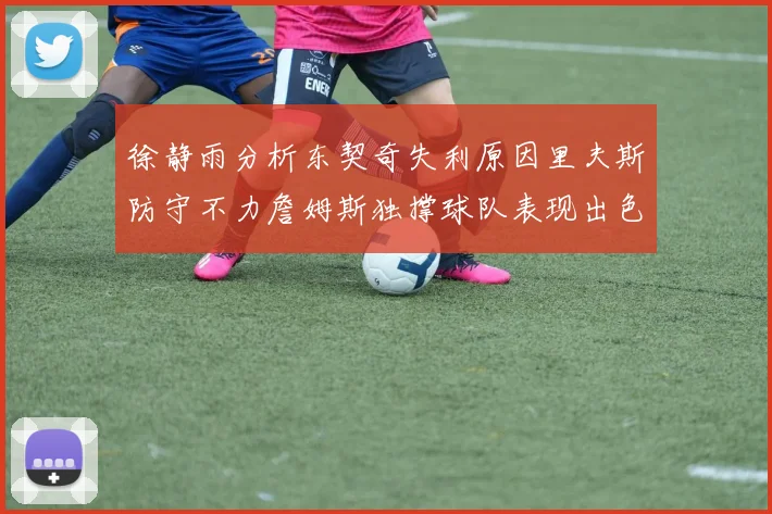 徐静雨分析东契奇失利原因里夫斯防守不力詹姆斯独撑球队表现出色
