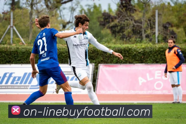 卡斯尔强调战术执行与合理出手是赢得比赛的关键所在