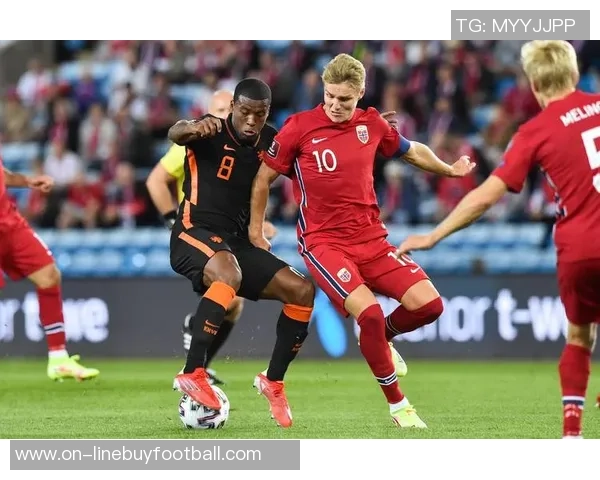 豹纹新发色引关注挪威后卫莱尔森世预赛惊艳亮相